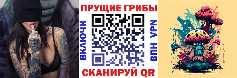 Псилоцибиновые грибы Psilocybine cubensis  Купить где  Оренбург 